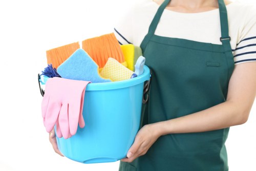 Professional one off cleaning in a living room