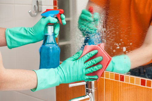Bathroom cleaning for a rental property move out