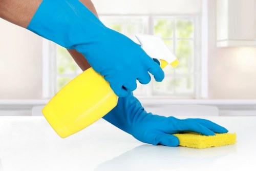 Professional cleaning supplies used for shared area maintenance