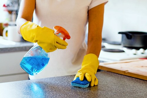 Deep cleaning essentials for a fresh and healthy home