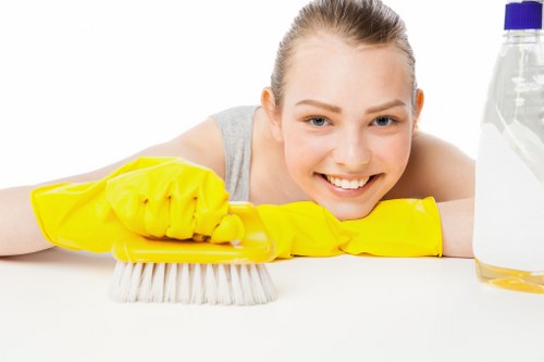 Kitchen and bathroom deep cleaning focus areas