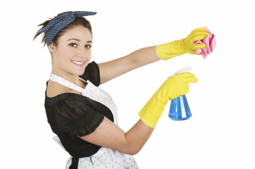 Bathroom domestic cleaning with sanitizing and polishing