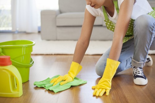 At-home rug cleaning tools and methods